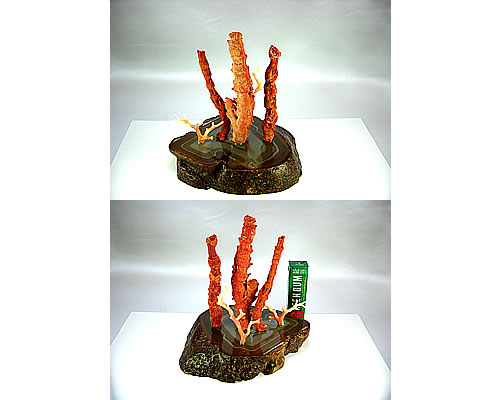 山珊瑚　枝　ミニ盆栽サイズ　オブジェ sb389 画像